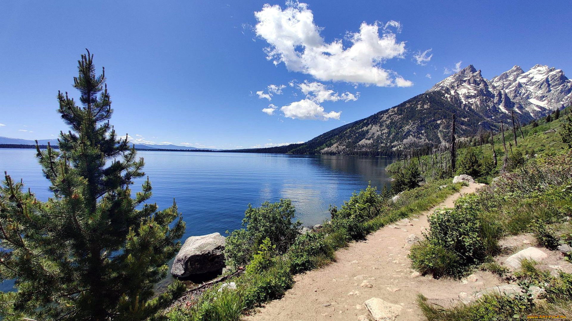 jenny lake, grand teton national park, , , , jenny, lake, grand, teton, national, park
